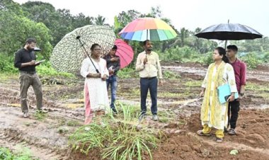 कलेक्टर ने कोपाबेड़ा स्थित मत्स्य बीज प्रक्षेत्र और शासकीय उद्यान रोपणी का किया निरीक्षण