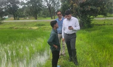 खेतों से समिति तक पहुंचे कलेक्टर, गिरदावरी की जांच के साथ एग्रीस्टैक पंजीयन का लिया जायजा