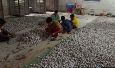 विशेष लेख : वनांचल में रेशम की चमक