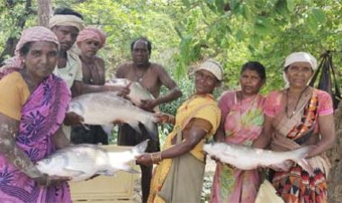 विष्णु भैया की पहल से तालाब बना महिलाओं की तरक्की का आधार