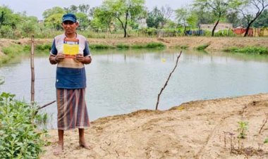 डबरी बनी रामभजन की समृद्धि का आधार, खेती के साथ मछली पालन से बढ़ी आय