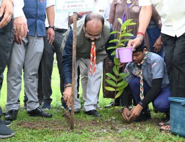 उप मुख्यमंत्री अरुण साव ने किया पौधारोपण, बोले हरियाली बढ़ेगी तो पर्यावरण भी स्वस्थ और सुंदर बनेगा