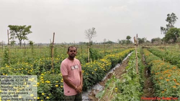 गेंदा फूल की खेती से किसान हेमचंद साहू की बदली तस्वीर