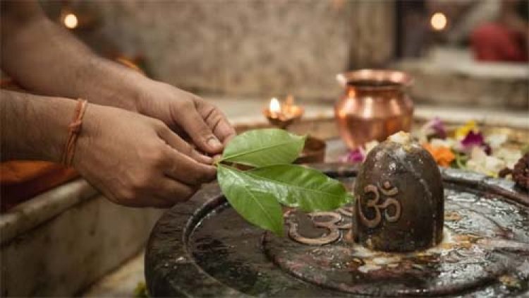 सावन सोमवार और शिवरात्रि पर ही क्यों करते हैं कांवड़िए जलाभिषेक? जानिए क्या है धार्मिक और पौराणिक महत्व