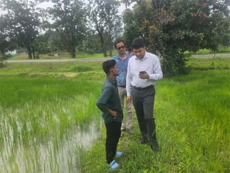 खेतों से समिति तक पहुंचे कलेक्टर, गिरदावरी की जांच के साथ एग्रीस्टैक पंजीयन का लिया जायजा