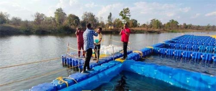 विशेष लेख : जलाशय से समृद्धि तक का सफर, 54 केजो ने बदली मछुआ समिति की तस्वीर