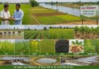 विशेष लेख : नदी किनारे के 152 गांवों में बदलेगा खेती का गणित, धान के साथ बढ़ेंगे आय के नए विकल्प