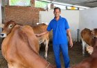 नस्ल सुधार से बढ़ा दुग्ध उत्पादन, मजबूत हुई दयासागर की आजीविका