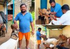 1-2 बकरियों से शुरू किया सफर, बकरी पालन से अब तक 5-6 लाख रुपये की शुद्ध कमाई