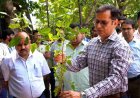 सूचना एवं जनसम्पर्क आयुक्तशर्मा ने डीआईपीआर परिसर में किया पौधारोपण