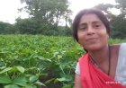 मिट्टी से समृद्धि की ओर : ‘बिहान’ से मिली उड़ान, हेमलता पटेल ने लिखी महिला सशक्तिकरण की नई इबारत