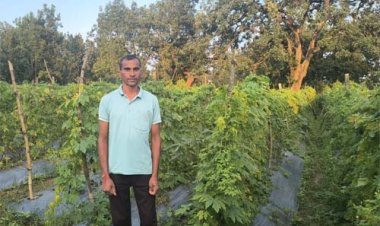 परंपरागत खेती से व्यावसायिक उद्यानिकी का सफर