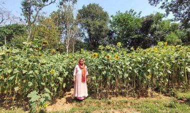 सेवा की कहानी : बिहान से प्रमिला ने लिखी आत्मनिर्भरता की कहानी, खेती के साथ सिलाई और मुर्गी पालन बना आय का मजबूत आधार
