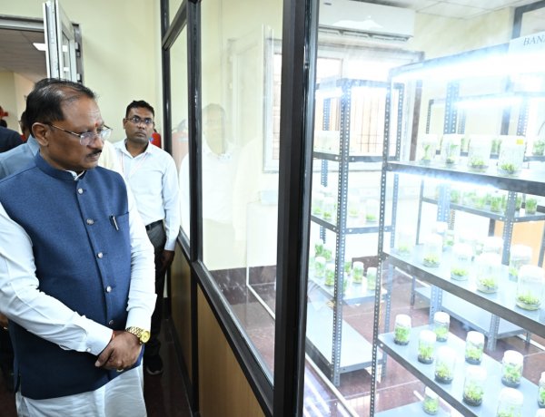 युवा केवल नौकरी मांगने वाले नहीं, रोजगार देने वाले बनें : मुख्यमंत्री विष्णु देव साय
