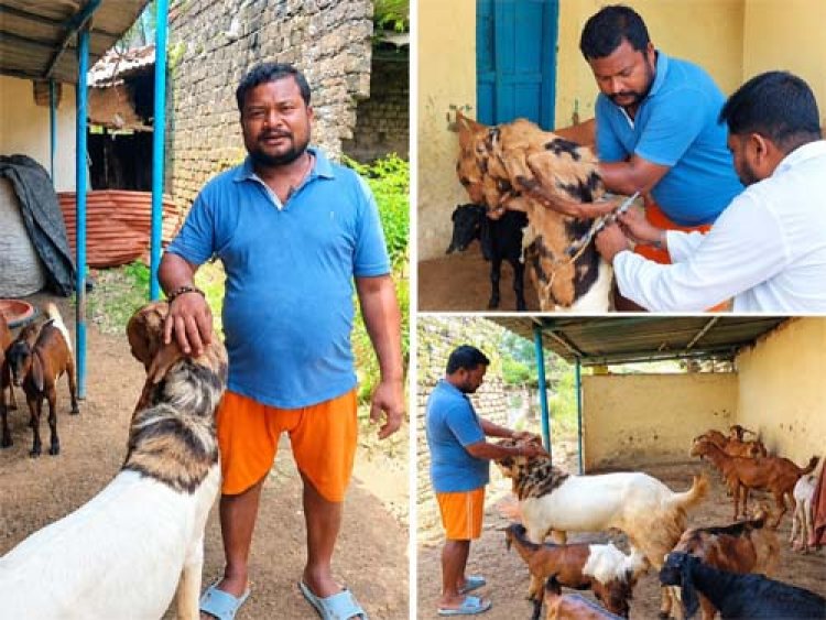 1-2 बकरियों से शुरू किया सफर, बकरी पालन से अब तक 5-6 लाख रुपये की शुद्ध कमाई