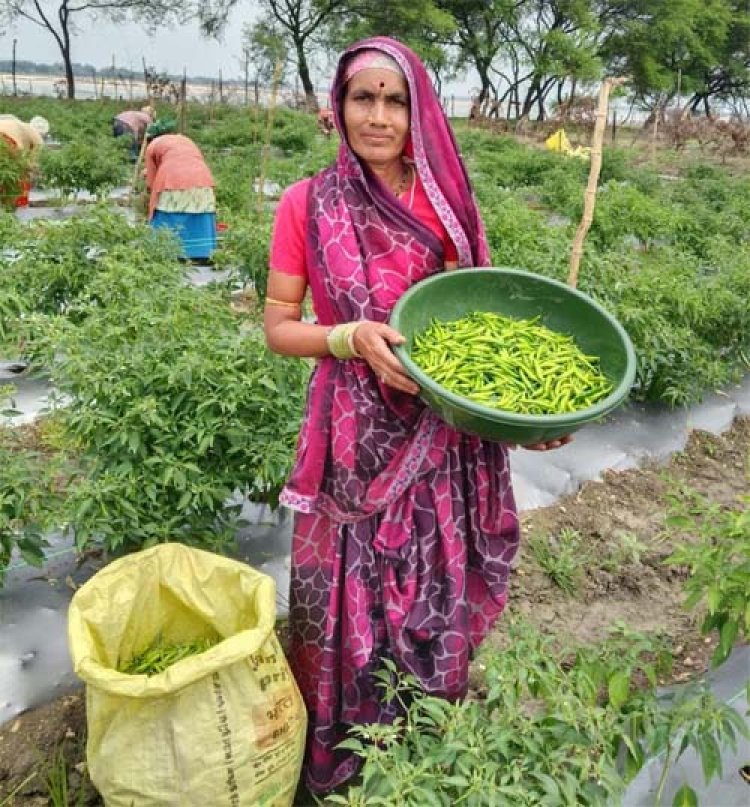 'तीखी मिर्च' से घुली जीवन में मिठास