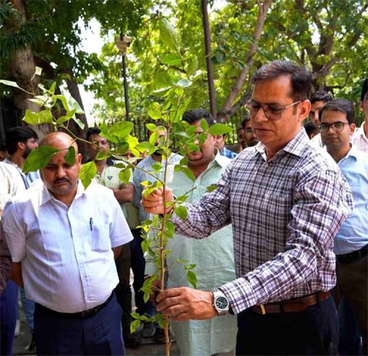 सूचना एवं जनसम्पर्क आयुक्तशर्मा ने डीआईपीआर परिसर में किया पौधारोपण