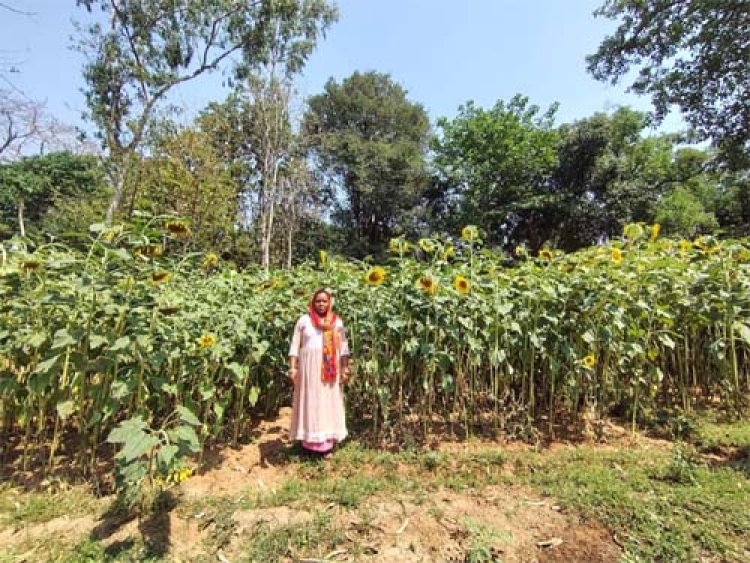 सेवा की कहानी : बिहान से प्रमिला ने लिखी आत्मनिर्भरता की कहानी, खेती के साथ सिलाई और मुर्गी पालन बना आय का मजबूत आधार
