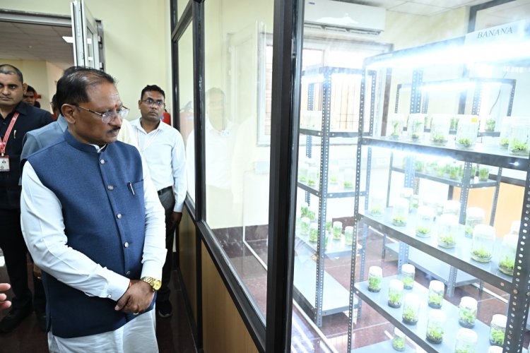 युवा केवल नौकरी मांगने वाले नहीं, रोजगार देने वाले बनें : मुख्यमंत्री विष्णु देव साय