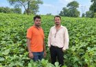 आधुनिक खेती से संवर रहा परिवार का भविष्य, सब्जी उत्पादन से बढ़ी सुमरन सिंह की आमदनी