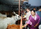 मुख्यमंत्री विष्णु देव साय ने शिवरीनारायण में भगवान नर-नारायण के किए दर्शन, प्रदेशवासियों की सुख-समृद्धि और खुशहाली की कामना