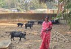 सेवा संकल्प अभियान-2026 : सेवा की कहानी: स्व-सहायता समूह से जुड़कर आत्मनिर्भर बनीं जल कुमारी, सालाना दो लाख रुपये तक पहुंची आमदनी