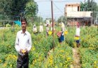 सेवा की कहानी : फ्लोरीकल्चर हब प्रोत्साहन योजना से घनश्याम साहू की खेती को मिली नई दिशा