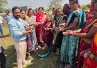 मखाना की खेती से आत्मनिर्भरता की ओर बढ़ रहीं धमतरी की महिलाएं
