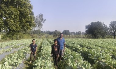 सेवा की कहानी : फूलगोभी की उन्नत खेती से प्रमोद सिंह को मिला 1.50 लाख रूपए का लाभ