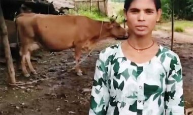 विशेष लेख : पशुपालन और मछली पालन से बदल रही सरगुजा के किसानों की तकदीर, ग्रामीण अर्थव्यवस्था को मिल रही नई मजबूती