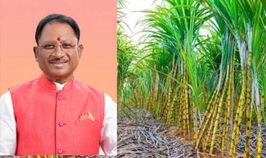 प्रदेश के 31 हजार गन्ना किसानों को मिलेगा 51.09 करोड़ रुपए का बोनस