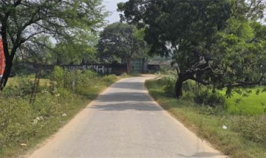 जनकल्याणकारी योजनाओं से ग्रामीण विकास को गति, आजीविका के नए अवसरों से मजबूत हो रहा सरगुजा