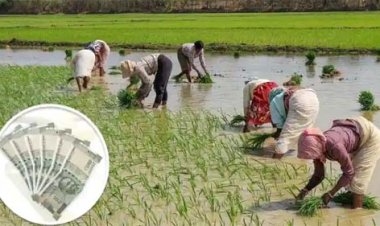 कृषक उन्नति योजना का लाभ लेने किसानों से अपील