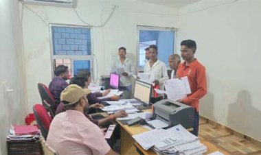 विशेष लेख : मुख्यमंत्री विष्णु देव साय के नेतृत्व में कृषक उन्नति योजना से फसल विविधीकरण को मिल रहा बढ़ावा, किसानों के लिए खुल रहे आय के नए अवसर