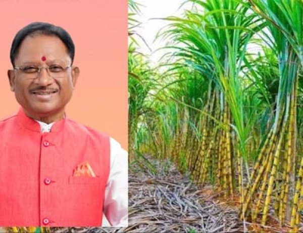 प्रदेश के 31 हजार गन्ना किसानों को मिलेगा 51.09 करोड़ रुपए का बोनस