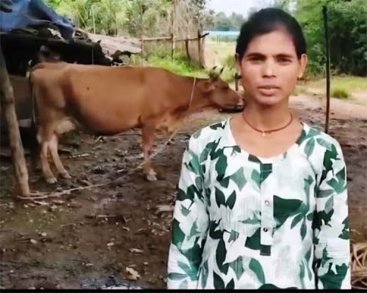 विशेष लेख : पशुपालन और मछली पालन से बदल रही सरगुजा के किसानों की तकदीर, ग्रामीण अर्थव्यवस्था को मिल रही नई मजबूती